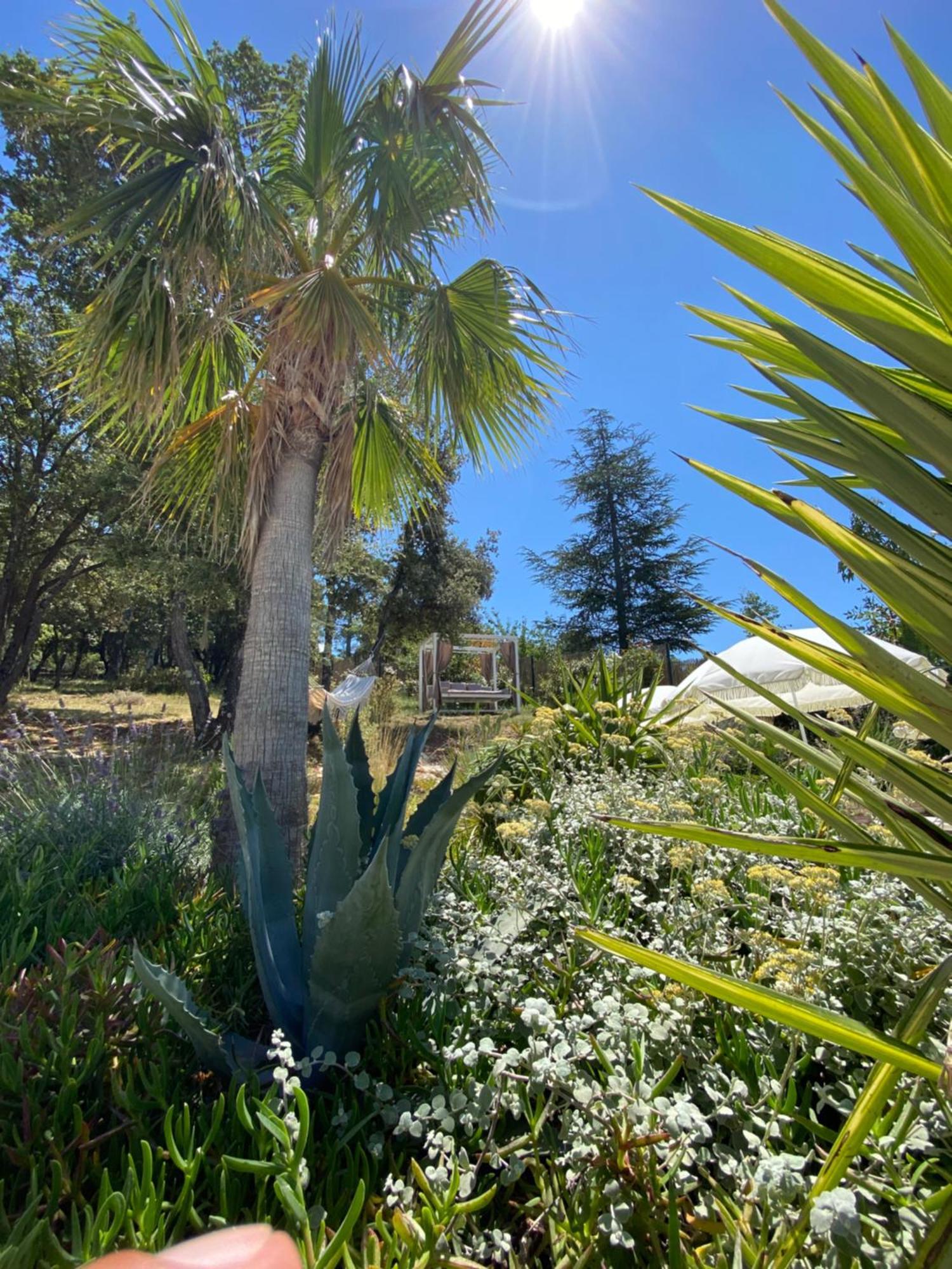 Villa Alba En Provence Besse-sur-Issole Eksteriør bilde