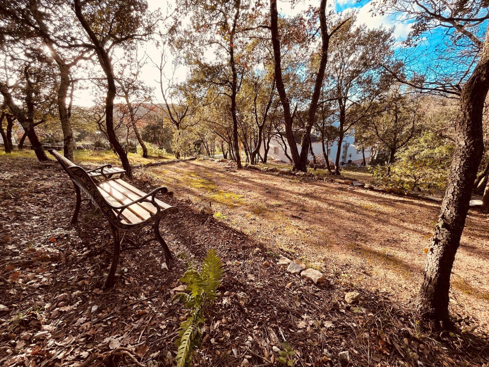 Villa Alba En Provence Besse-sur-Issole Eksteriør bilde